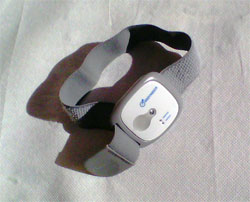 Sense Wear Armband