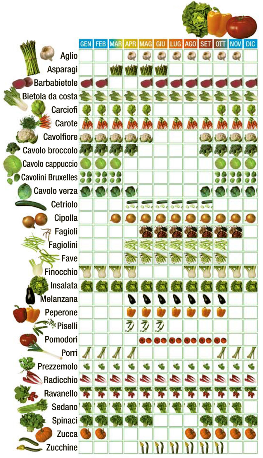 calendario di verdura di stagione