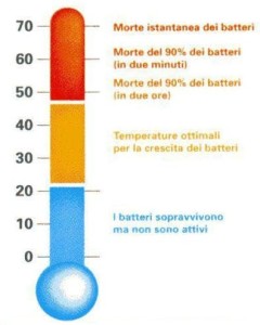 termometro batteri