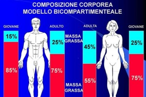 come-calcolare-la-massa-magra