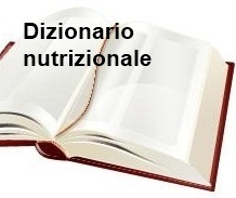 Dizionario