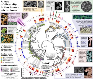 microbioma